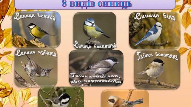 День синички смотреть онлайн