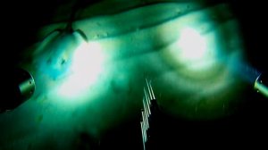 подводная охота в Черном море ночью Анапа сентябрь