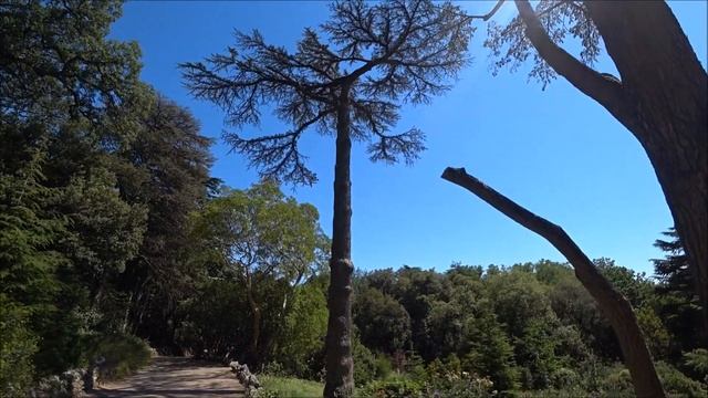 Крым 2018. Что происходит в Никитском ботаническом саду 2018? смотреть онлайн