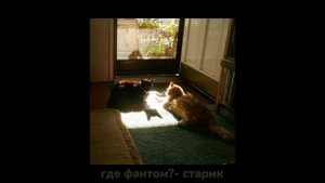 плейлист для комфортного вечера・:*+.|comfortable playlist ♪