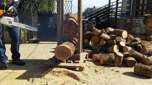 Stihl MSE 141 C vs MS 241 C vs MS 462 C