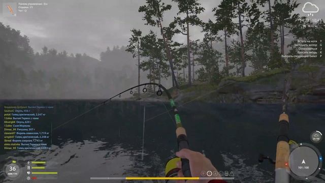 Русская рыбалка 4 озеро КУОРИ НОВОЕ Голец, Форель russian fishing 4 (РР4) Char, Trout смотреть онлайн