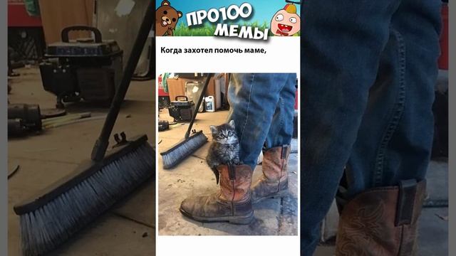 Мемы и котики с озвучкой #мемыскотами #мемыдня #мемы #котики #мемытут #shorts.mp4