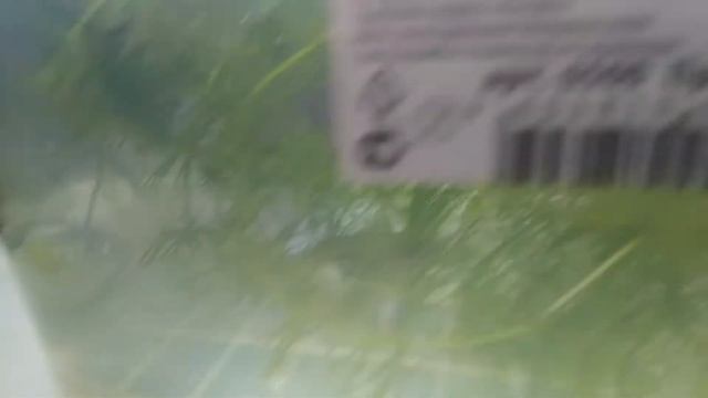 Самка меченосца дала малька. Отсадили на роды. смотреть онлайн