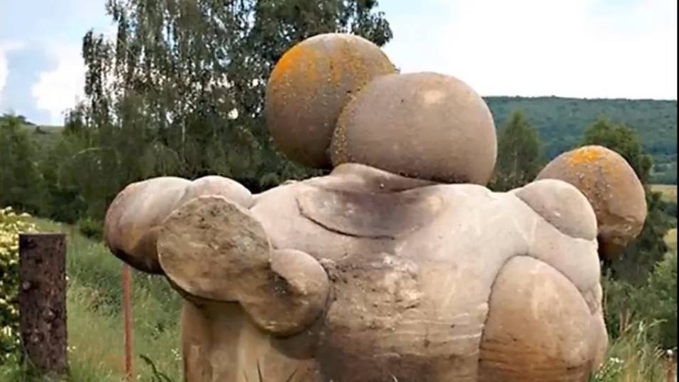 Каменные живые цветы  Камни которые растут и Движущиеся камни
