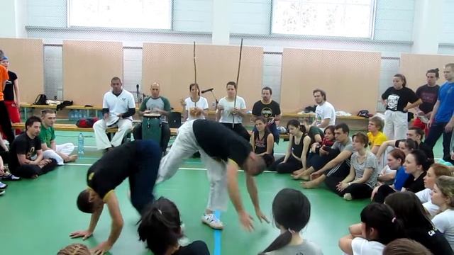 mestre Edan and instrutor Simba смотреть онлайн