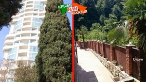 Кореиз и Сухум | Сравниваем отели ✈️ Крым или Абхазия - где лучше?