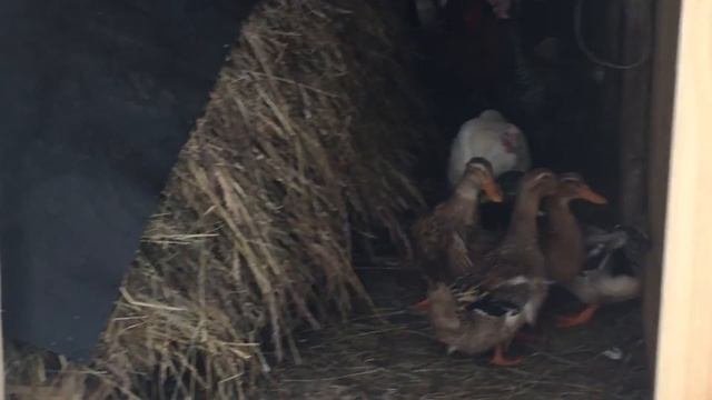 Квартира в д. Верейка Егорьевского района