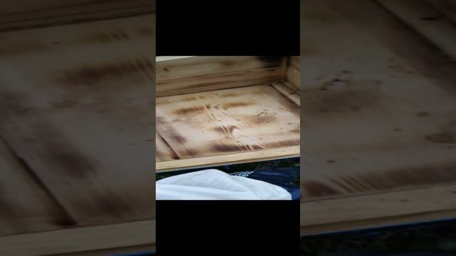 Простой способ делать отводки пчелосемьей (3) смотреть онлайн