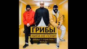 Грибы нига не гони  niga me goni