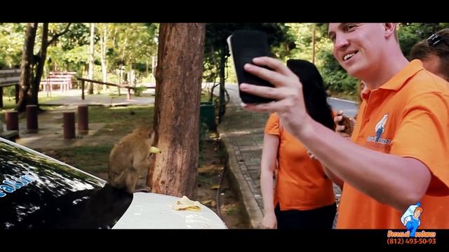 Даже обезьянкам нравится Весёлый Водовоз! смотреть онлайн