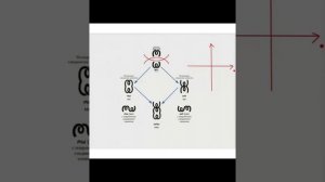 мОСКОЛЕНКО_14-06-2024