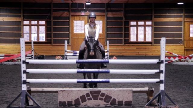 Branding video | Video Marketing | Pavillion Farm | Video SEO Pro смотреть онлайн