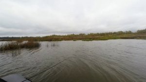 Твичинг на мелководье. Костромское море.