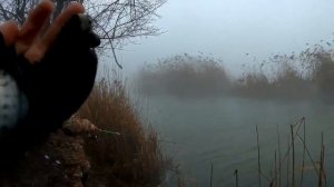 ЭКЗОТИКА. Ловля ТЕЛЯПИИ и канального сомика.  Ташлык