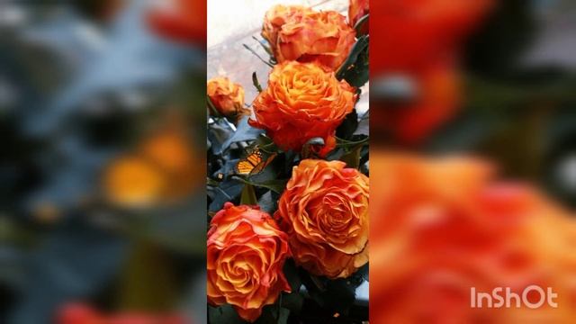 ЧЕГО ДОЛЖЕН УБЕГАТЬ ДОБРОДЕТЕЛЬНЫЙ, ЧТОБЫ В БЕСОВСКУЮ ПРЕЛЕСТЬ НЕ ВПАСТЬ. ДУХОВНАЯ АЗБУКА 19 в. смотреть онлайн