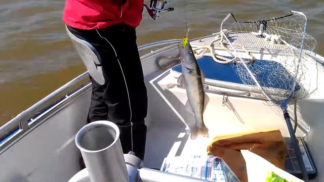 Вялое начало клёва смотреть онлайн