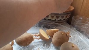 Посадка картошки в опилки для раннего урожая!