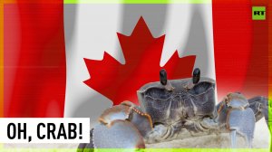 Canadian protesters demand ‘tyrant’ Trudeau’s resignation, while Ottawa is concerned about crabs
