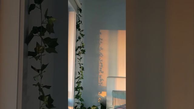 соберись в летний лагерь✨?