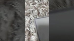 оповещатель звуковой опз-12 пки-1 иволга