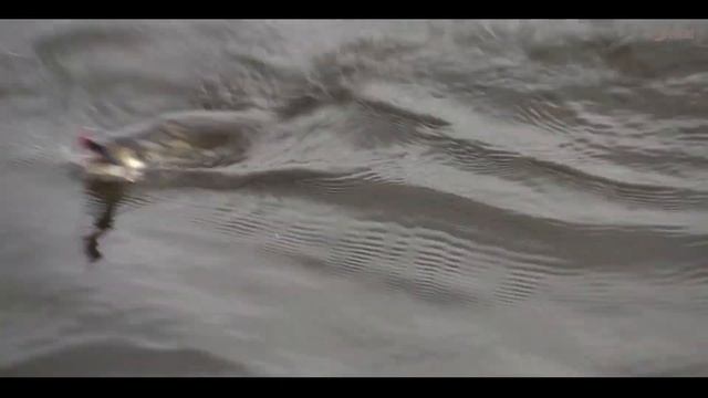 Удача на Удаче Рыболовная база "Удача" Рыбалка в Самаре смотреть онлайн