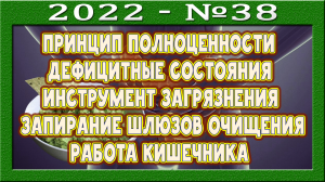 Принципы здорового питания. Очищение в ущерб полноценному питанию. Запуск очищения иными способами.