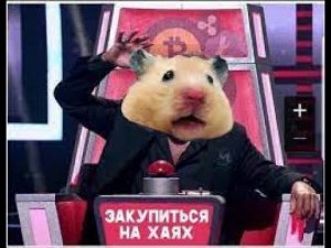 Hamster Kombat что за Хомяк то такой ? Деньги Будут ?