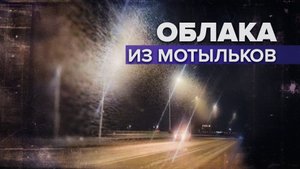 Нашествие мотыльков в Ельце — видео