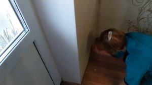 Как убрать плесень на стенах в домашних условиях ?