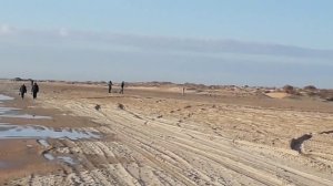 Поиск на пляже, Черное море, встреча с копателем.