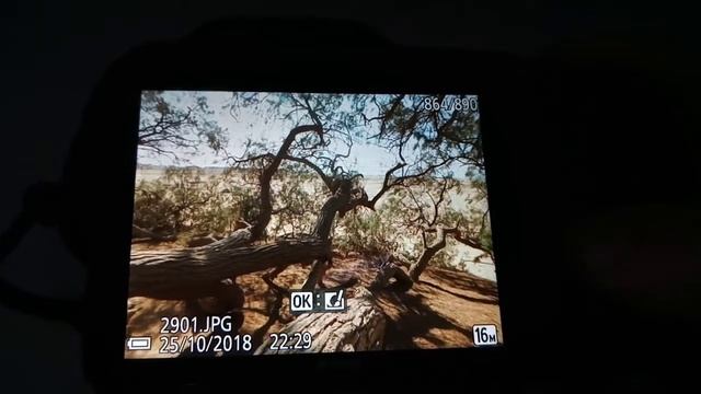 Fotos da Nikon L840 смотреть онлайн