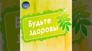 Рецепты приготовления блюд из соевого творога (тофу)