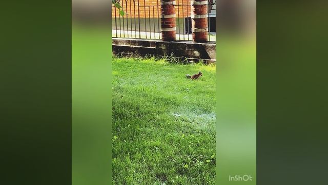 Парк «Царицыно»❤️❤️
