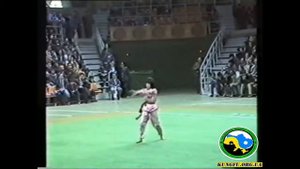 Вьетнамское кунгфу 1990г. Федерация КУНГФУ Украины