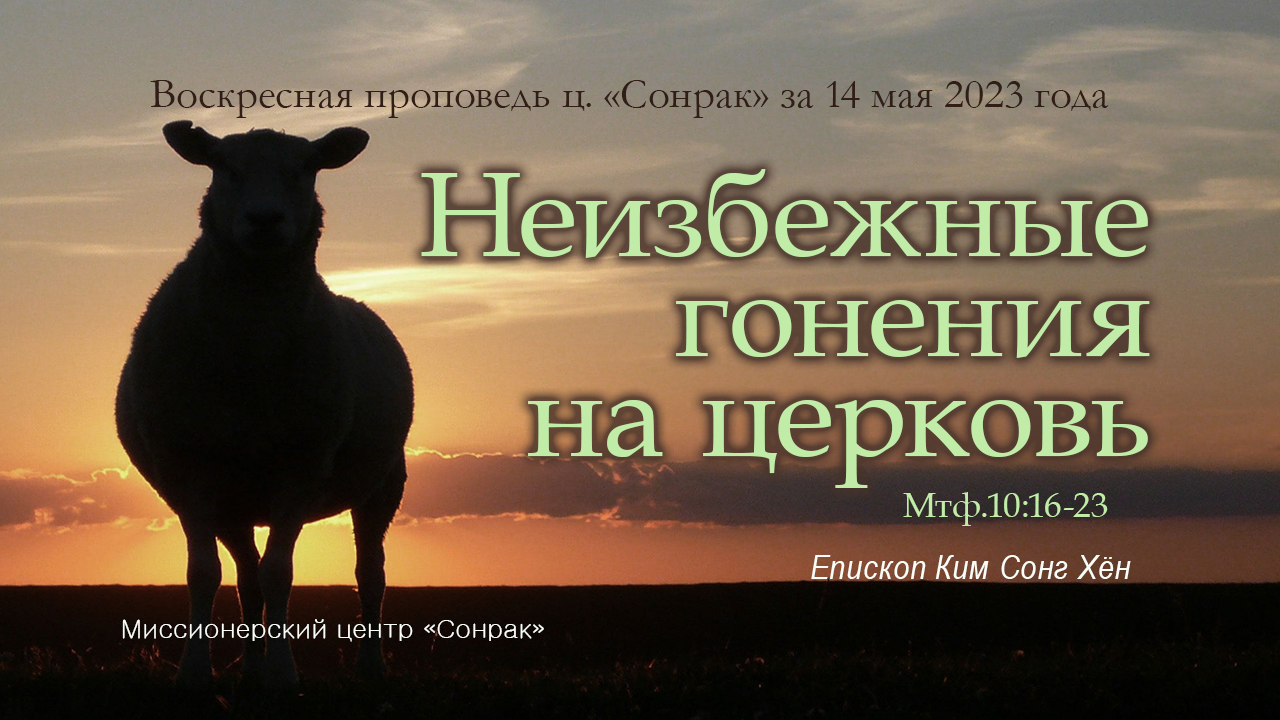 3 МИНУТКИ_Неизбежные гонения на церковь (Мтф.10:16-23)