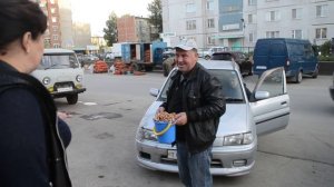 Грибами на рынке Бердска тоже торгуют нелегально