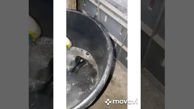 Маслоотделитель Фольцваген Шкода актавия а5 Так ещё не кто его не разбирал. смотреть онлайн