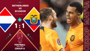 Голландия 1-1 Эквадор Обзор Матча Чемпионат Мира | Netherlands 1-1 Ecuador Highlights