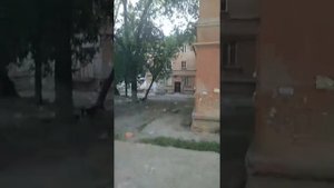 "Дом терпения" в Саратове!