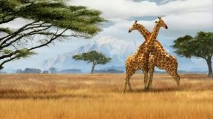 Арабское золото.-Arabian gold. Land of Love.mp4