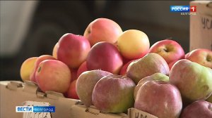 В Белгороде прошла сельскохозяйственная ярмарка