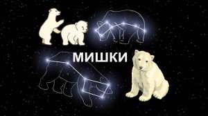 Мишки