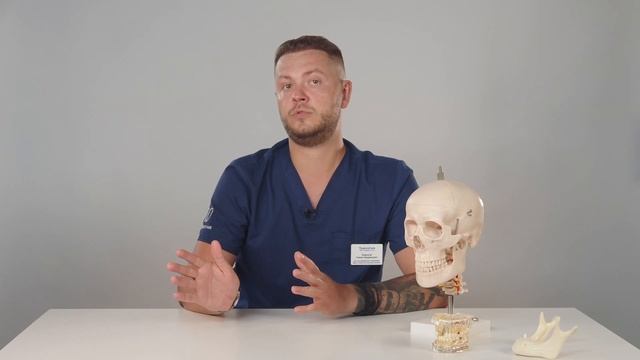 Протезирование на имплантах в клинике Трилогия смотреть онлайн