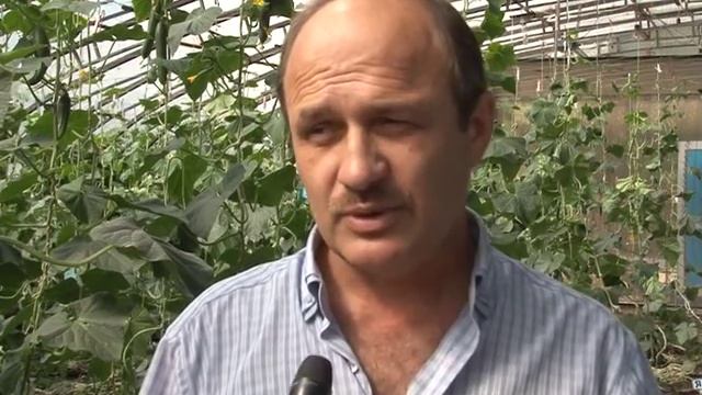 Экспериментальная теплица оказалась выгодным проектом смотреть онлайн