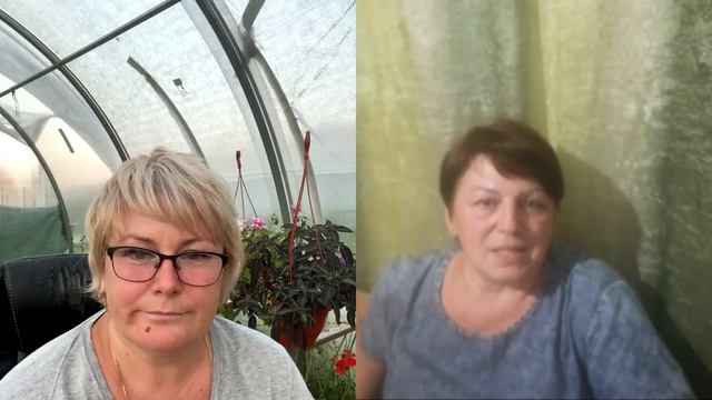 🌸Цветы для души с Людмилой. Цветочный дворик. 🌸Ох уж эти бегонии 😍