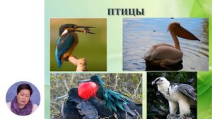Познание мира, 3-й класс, Разнообразие живого мира. Животные