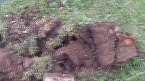 Нашли много меди и гудрон. Коп Металлолома!!