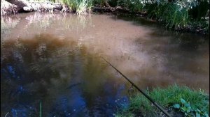 Поїхав тестувати воблер а спіймав щуку!!!Strike Pro Glider 90SP