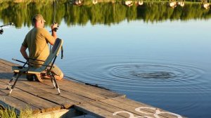 Карповые девайсы от ORIENT RODS. Честный обзор Алексея Фадеева.